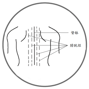 原图片大小(300×300)